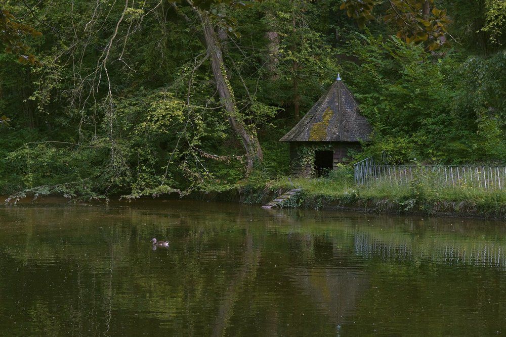 Домик на берегу пруда