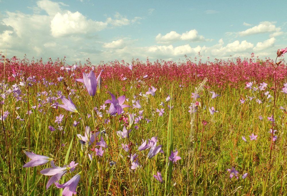 Photograph by Катерина Гришина