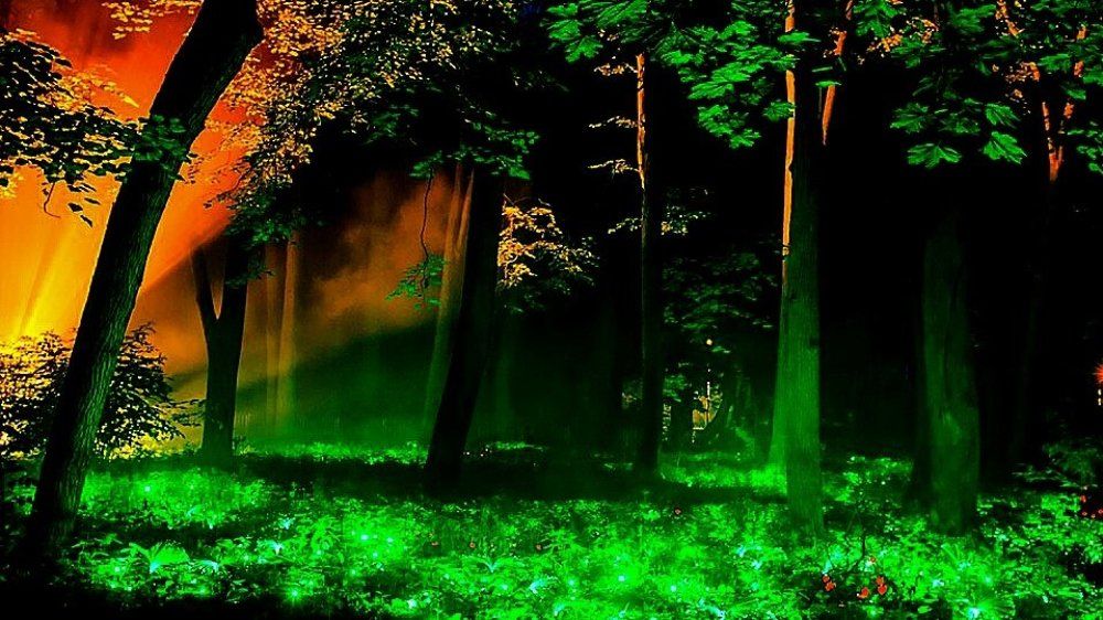 Сказочный лес