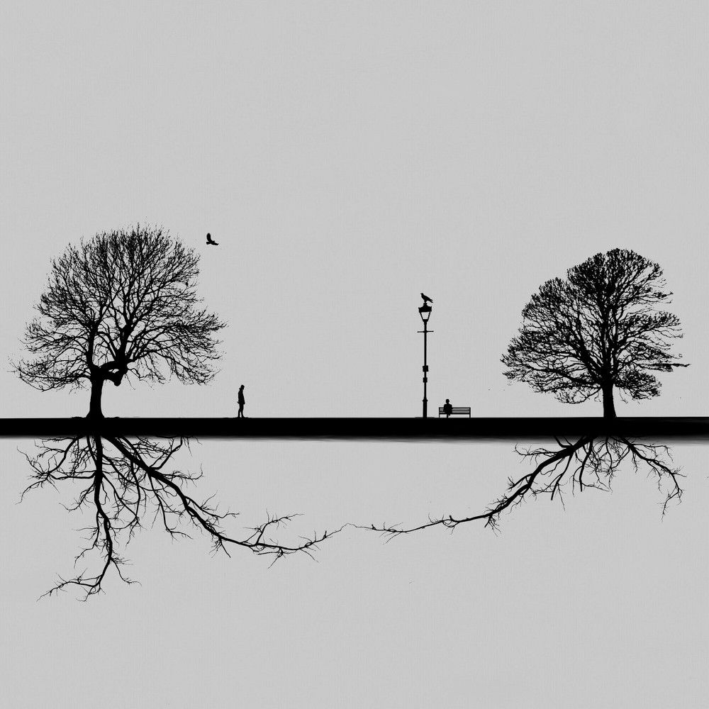 Parallel Worlds