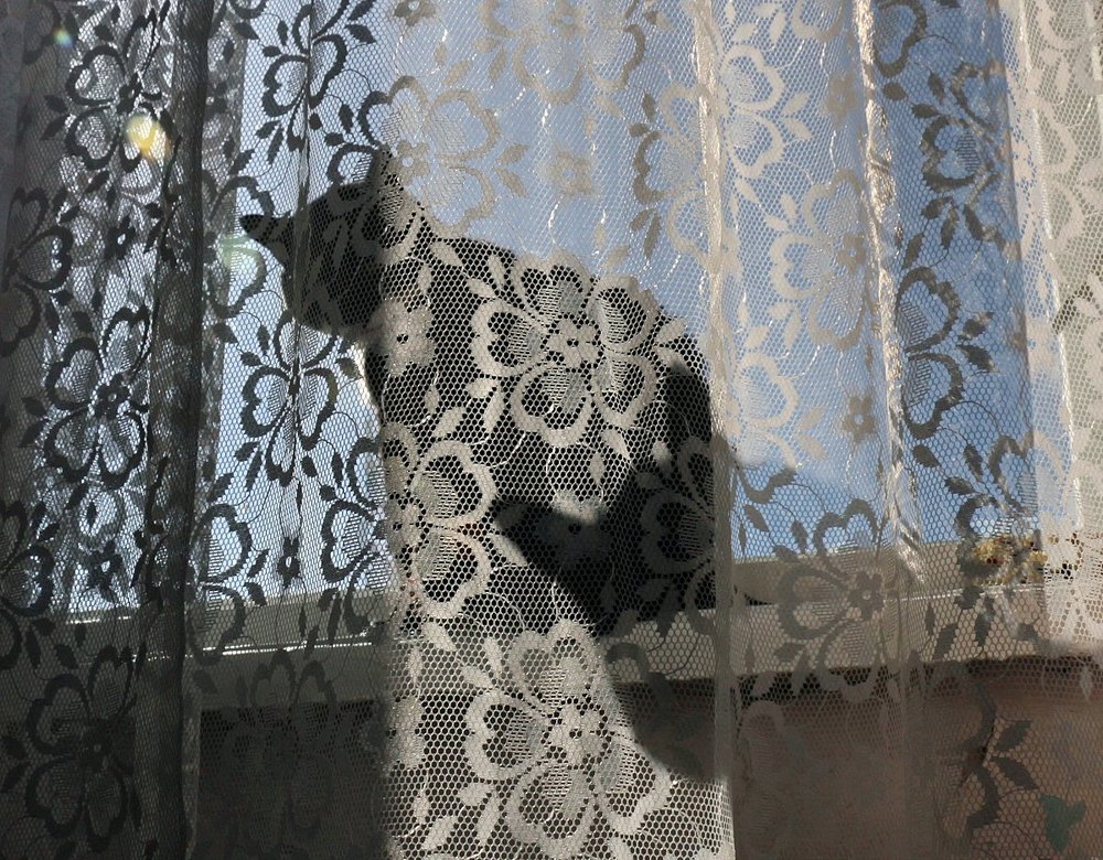 тень