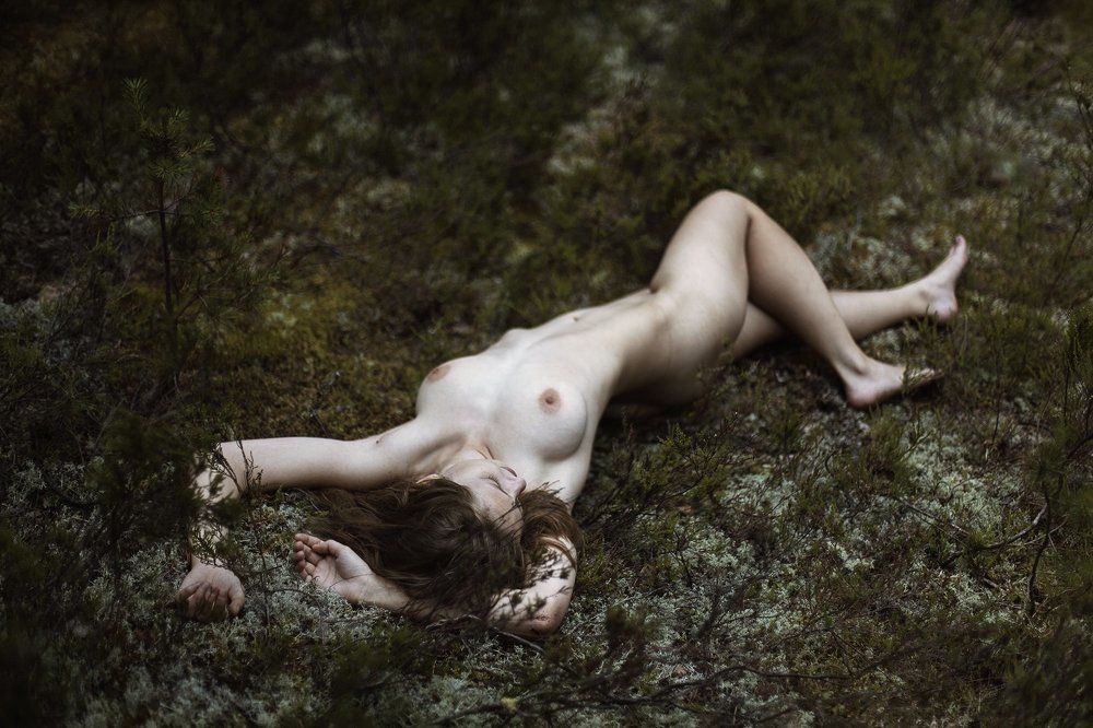 in forest