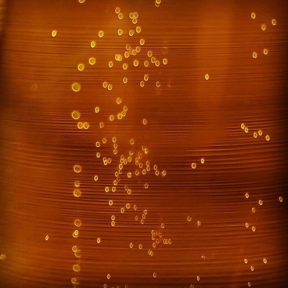 Photograph by Владимир