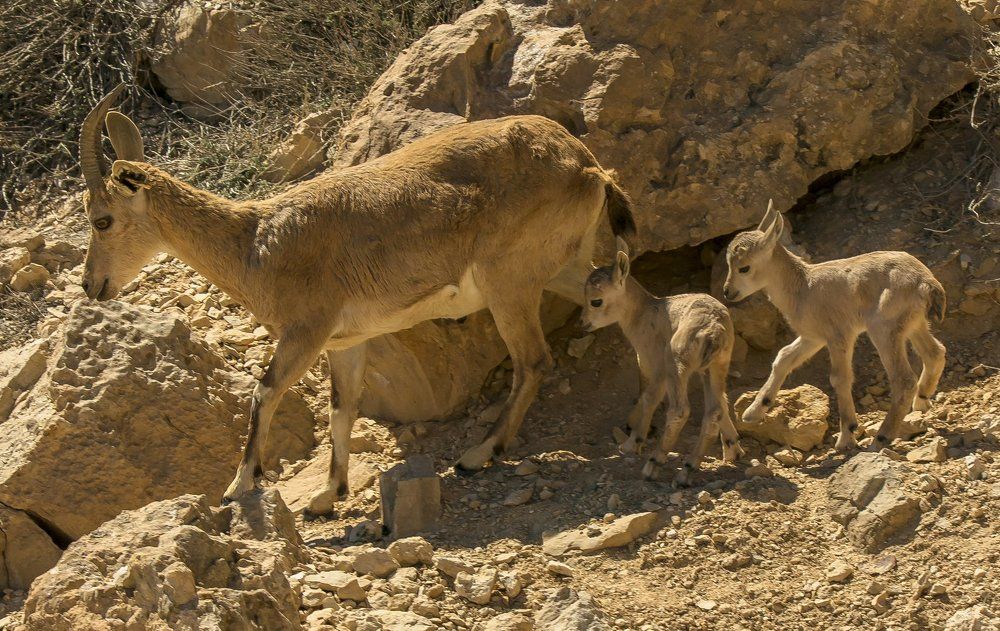 на прогулке