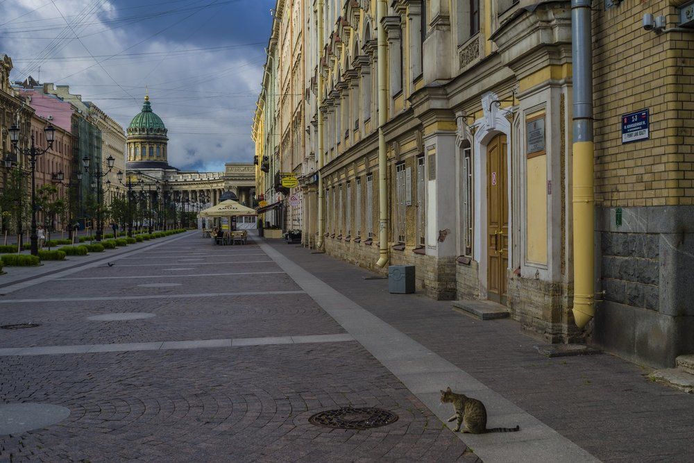 Город просыпается