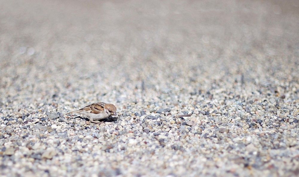 Photograph by Люда