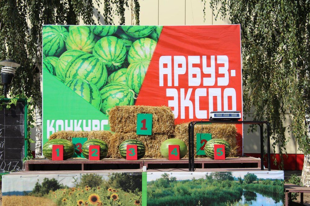 праздник день арбуза