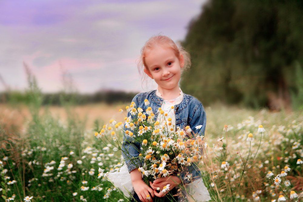 Ромашка среди ромашек