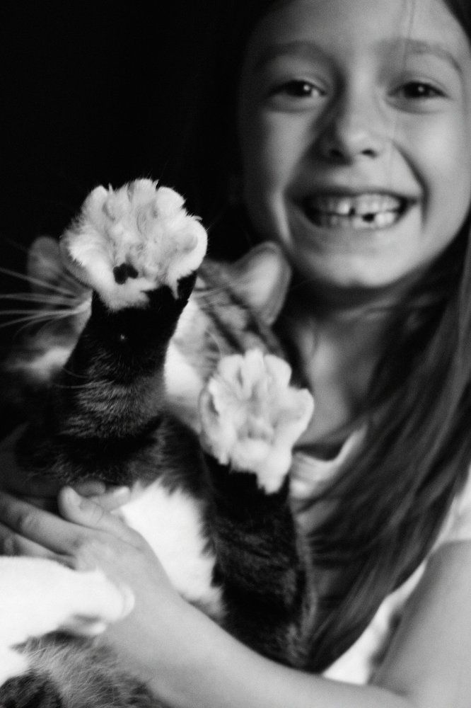 Везде папарацци