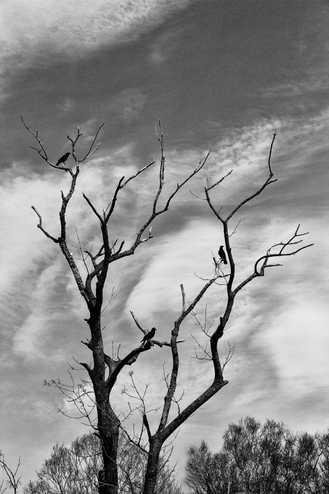 Photograph by Иван Ефремов