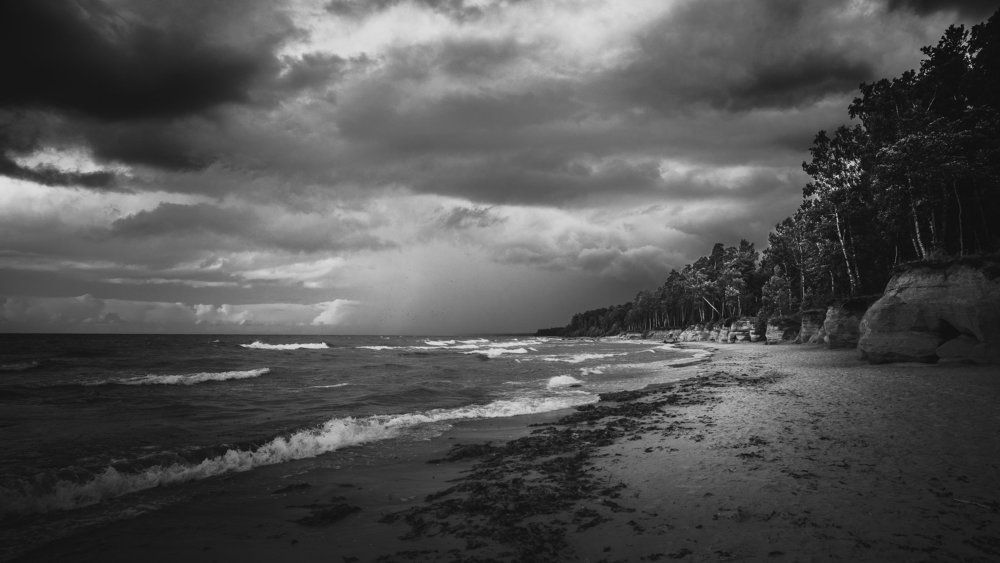 осень пришла