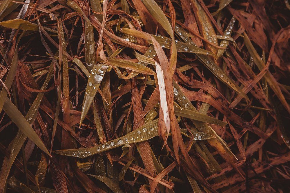 Photograph by Павел Куренбин