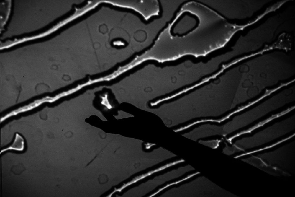 Accepting innovation