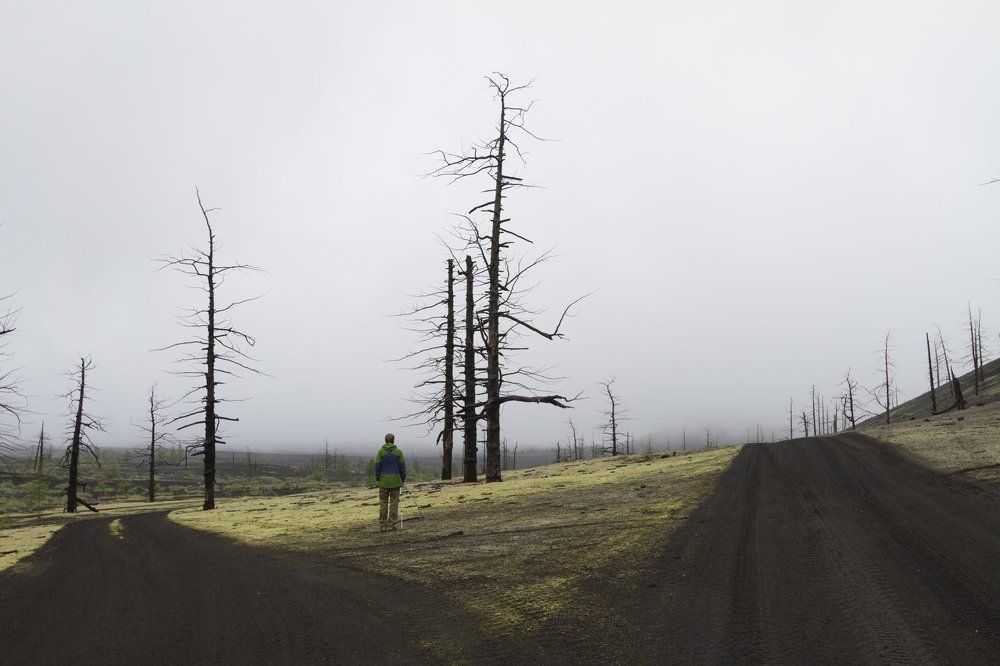 На развилке...