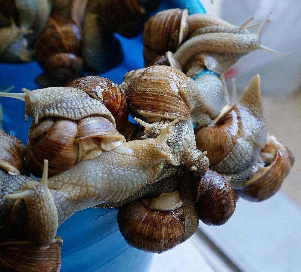 Фотография автора Valery Bel@kov