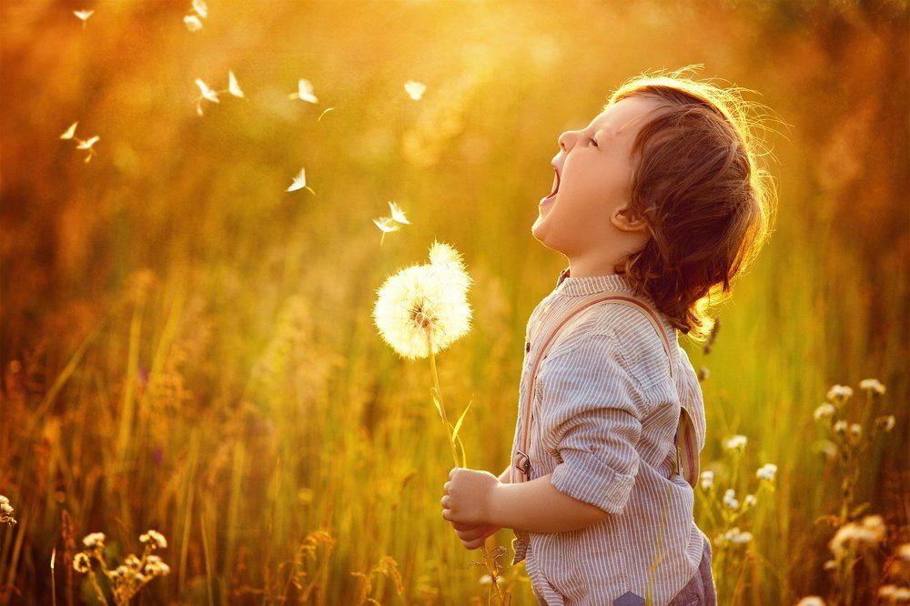 Кричащий одуванчик