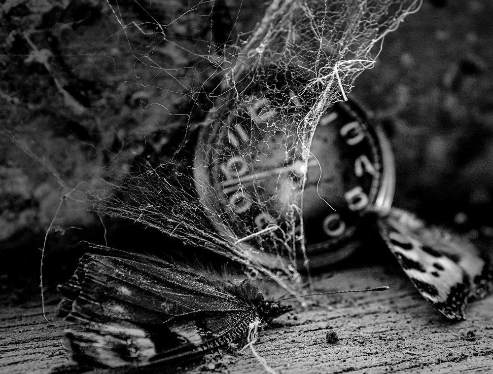 Время не лечит