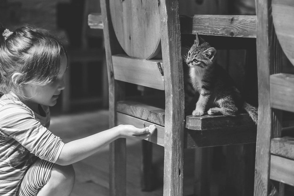 Photograph by Максим Рязанцев