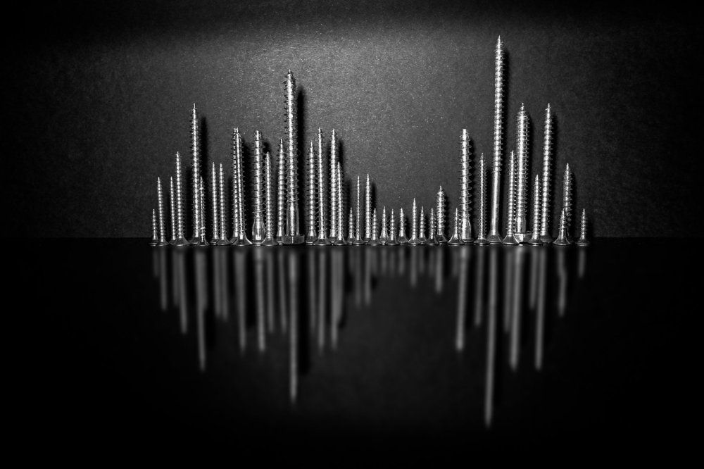 Photo #1906596