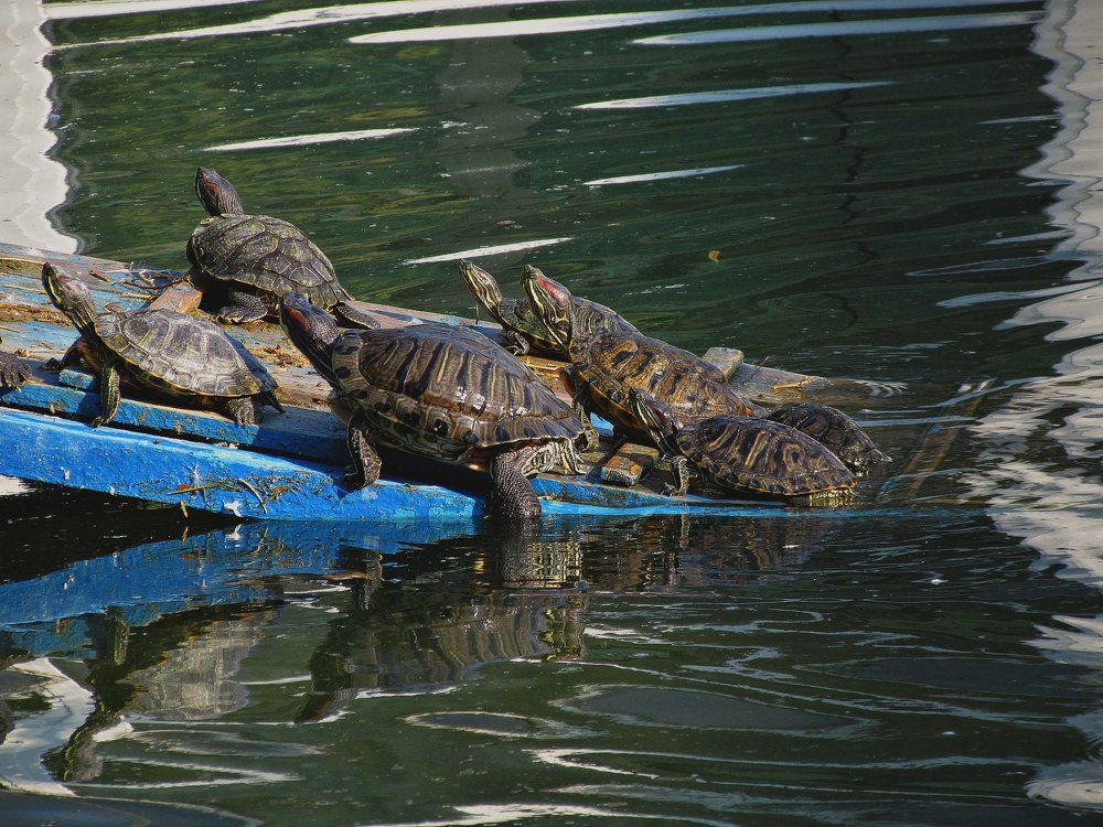 Морской десант)))