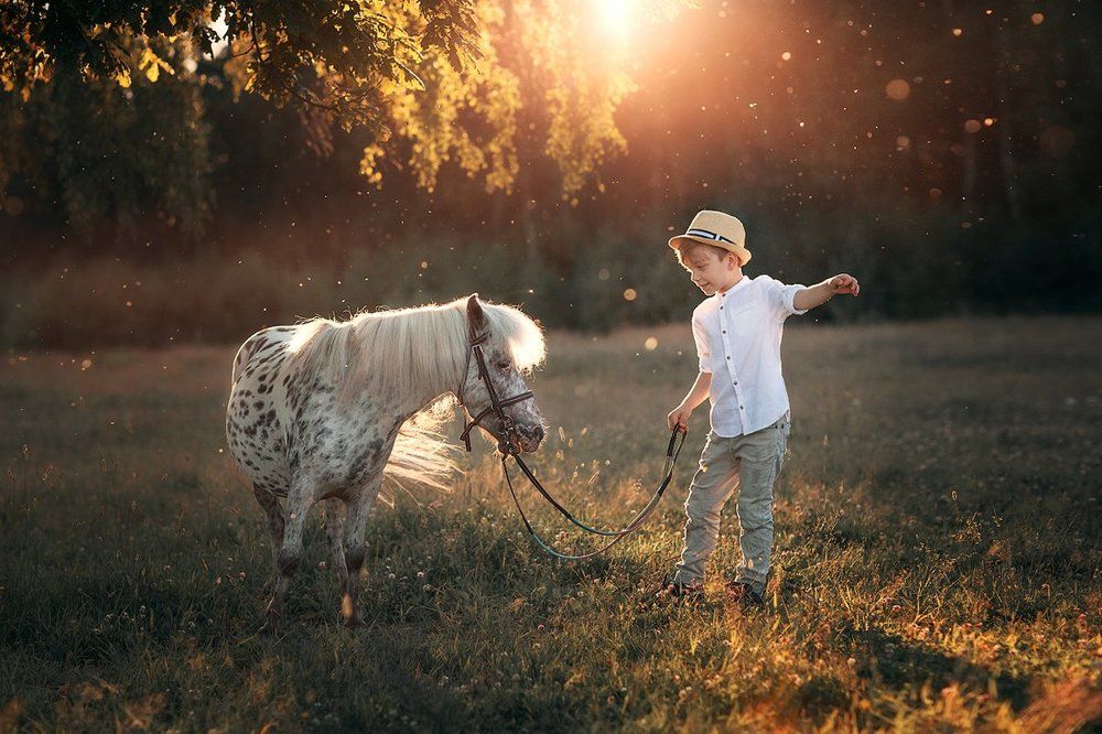 Пойдем гулять вместе!