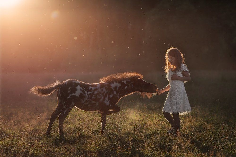 За вкусной морковкой