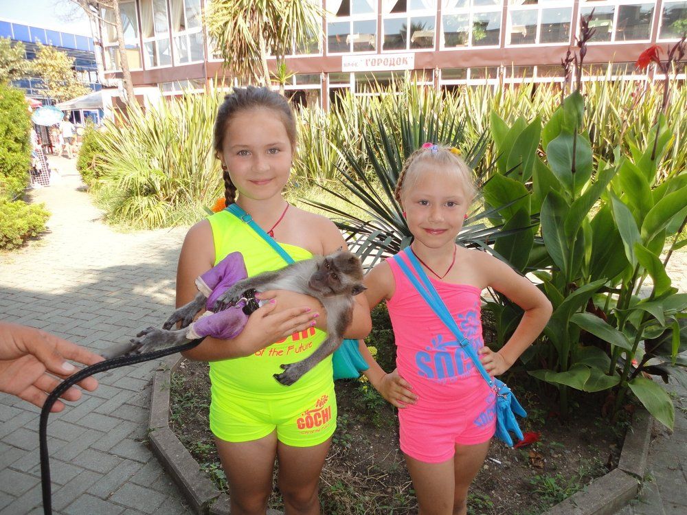 Photo #1906970
