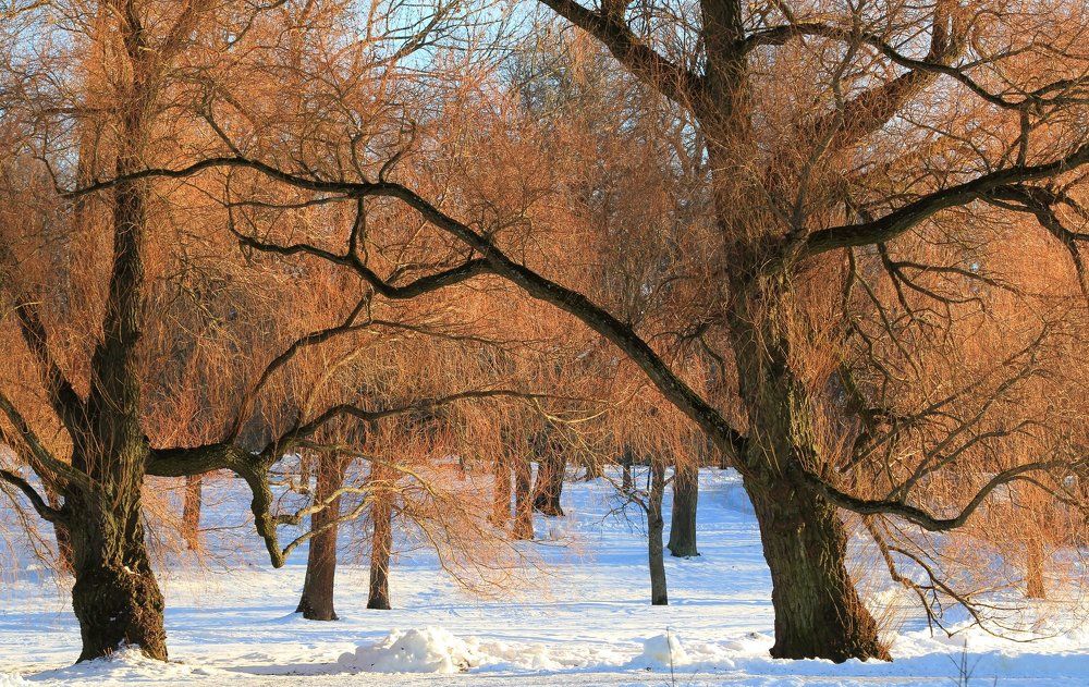 ожидание весны