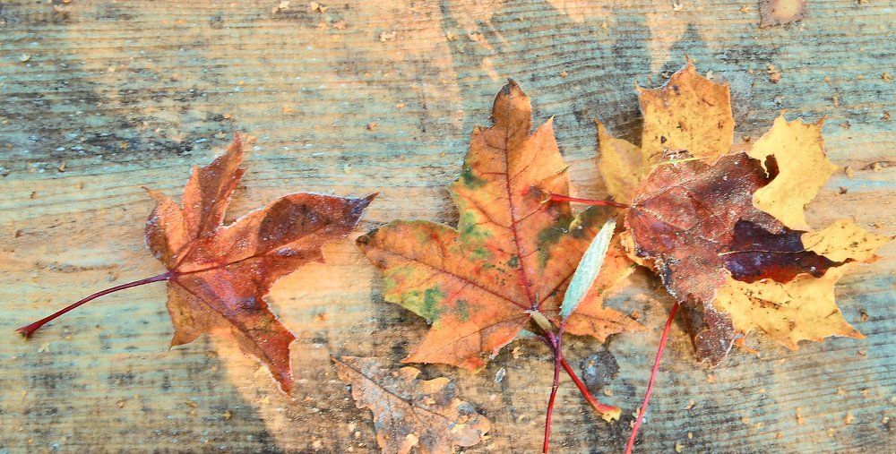 Меланхолия