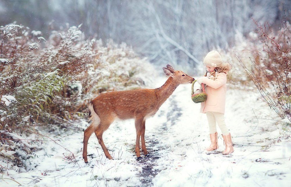 Агата и олененок Петя