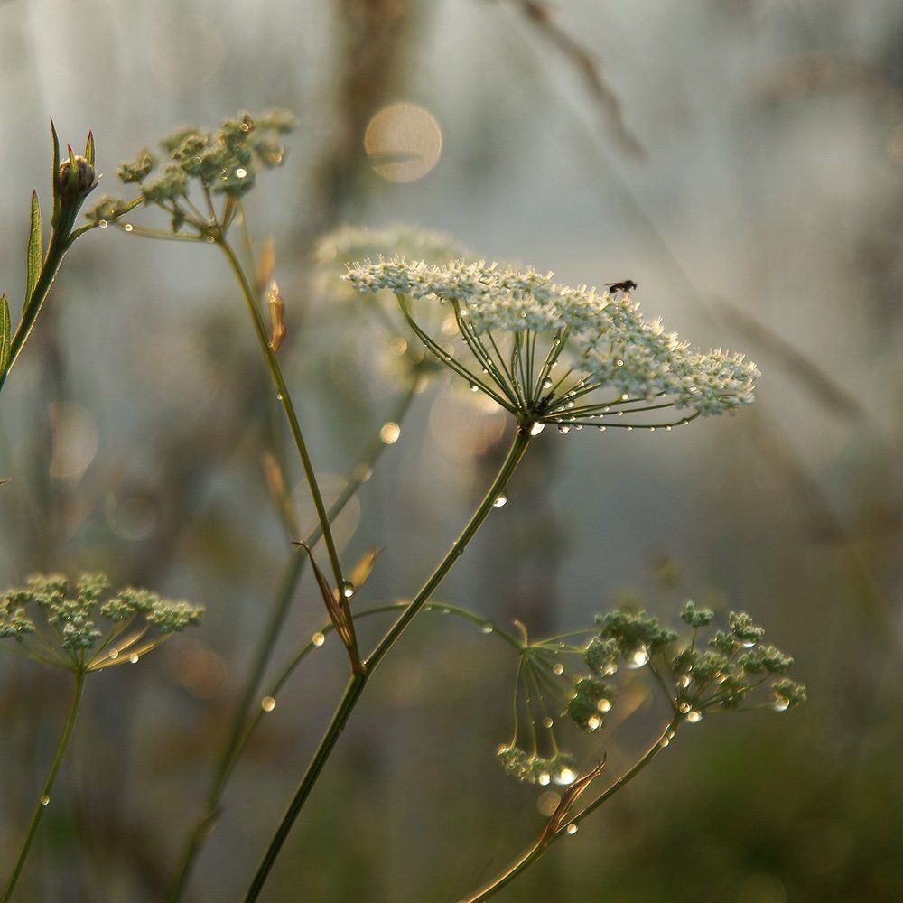После дождя