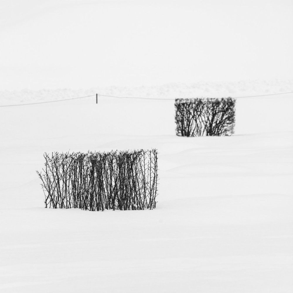 Photograph by Мария Кириллова-Минова