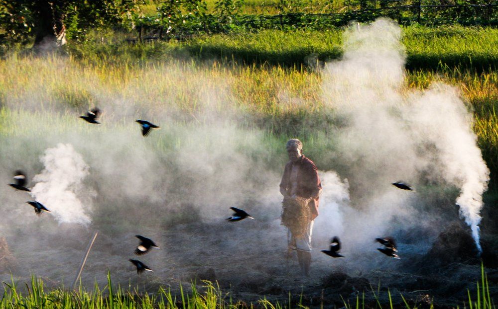 Unconditional Freedom