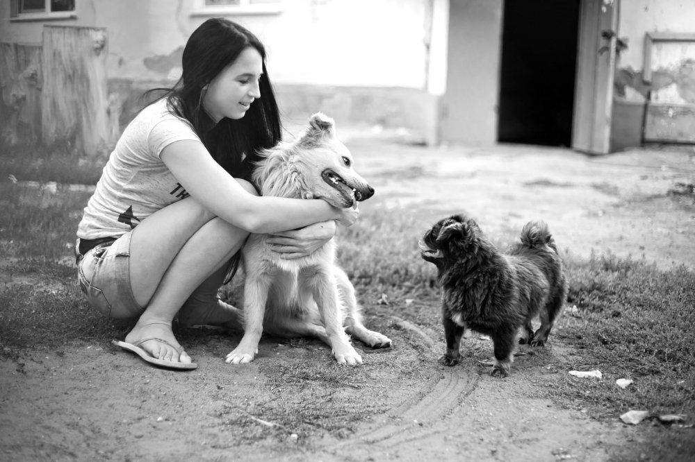 Photograph by Александр Калин