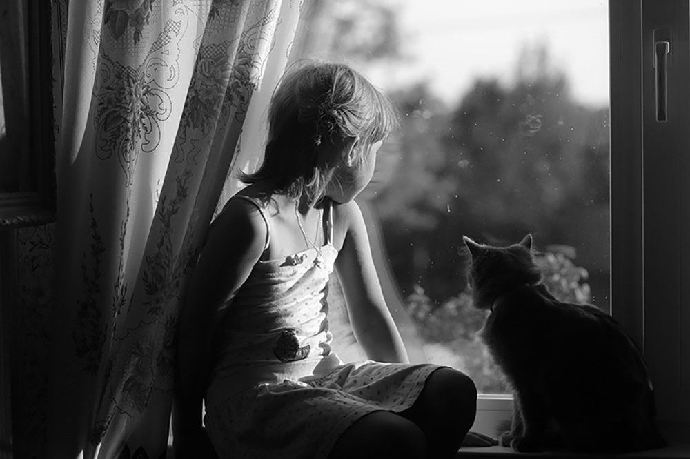 Летний дождик