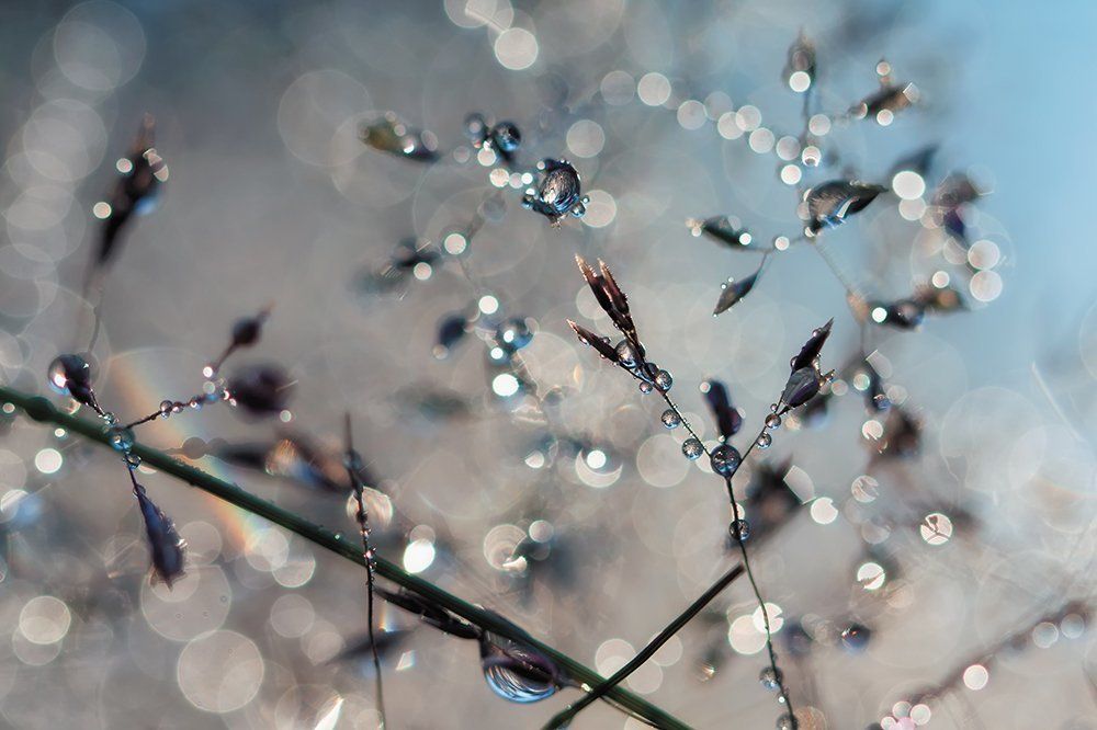 Маленькое подношение