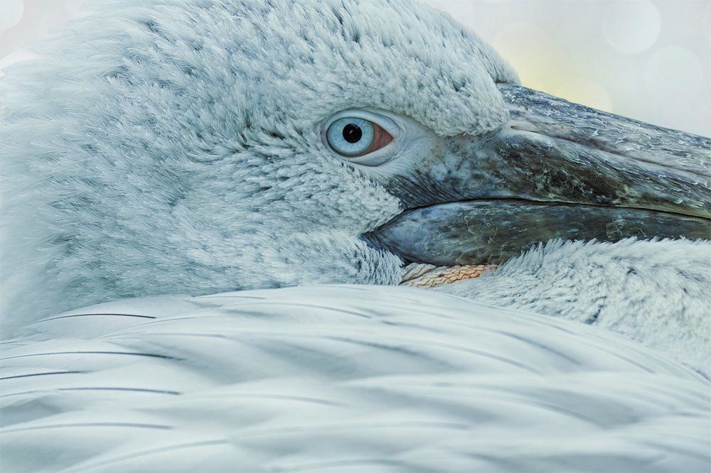 Отдых в Голубой лагуне