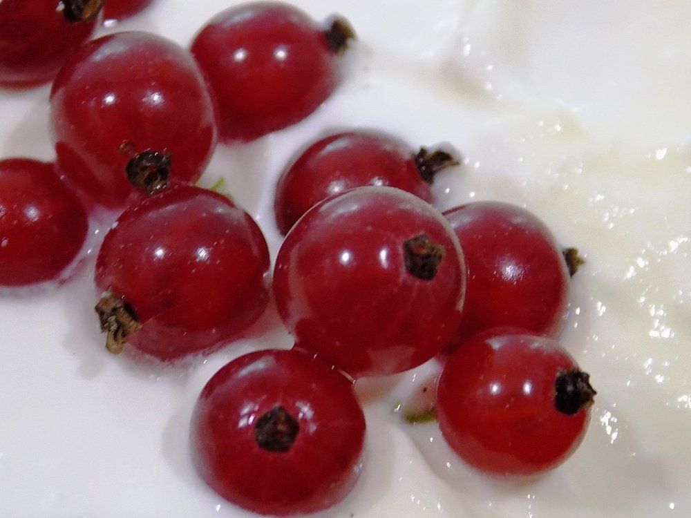 Ягоды в тесте