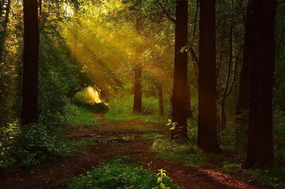 Рука солнца