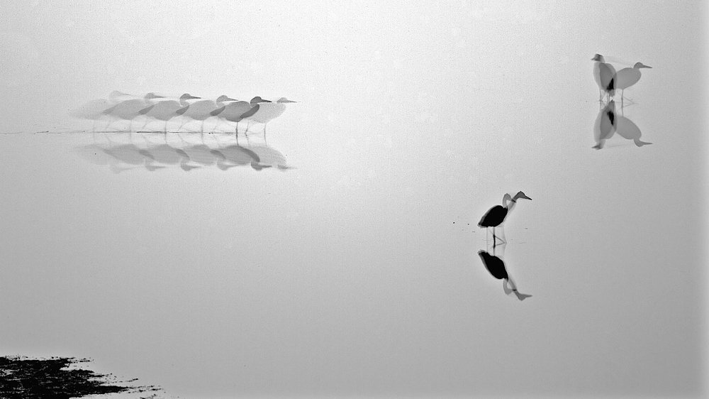 всё в Мире относительно.