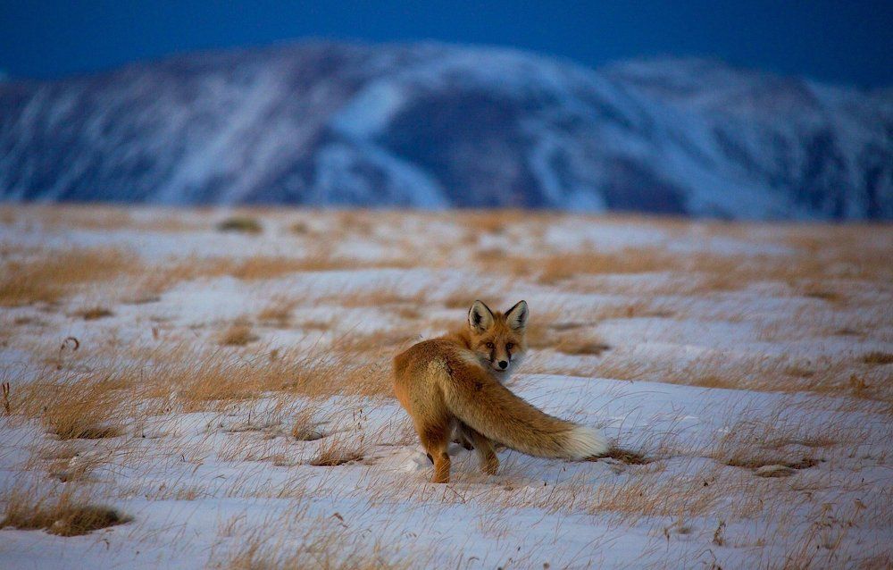 Photograph by Мазурин Евгений