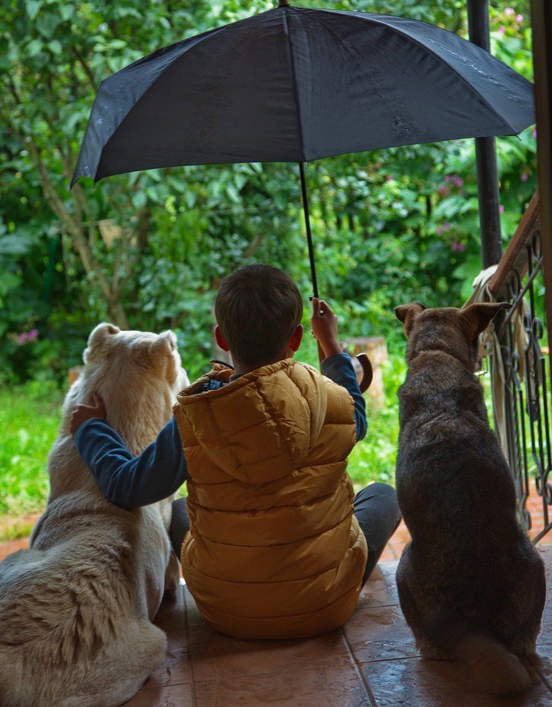 Дождливый день