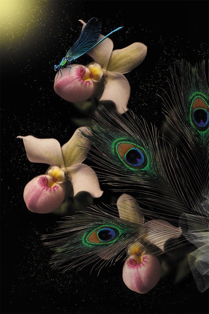 Очаровательное трио