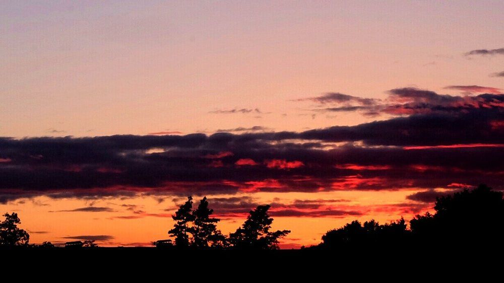 Photograph by Anna Pankratova