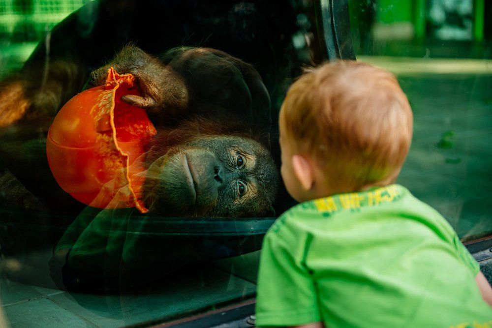 Взаимный интерес