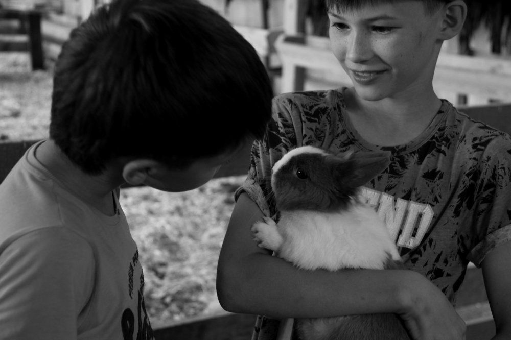 Photograph by Алика Стич