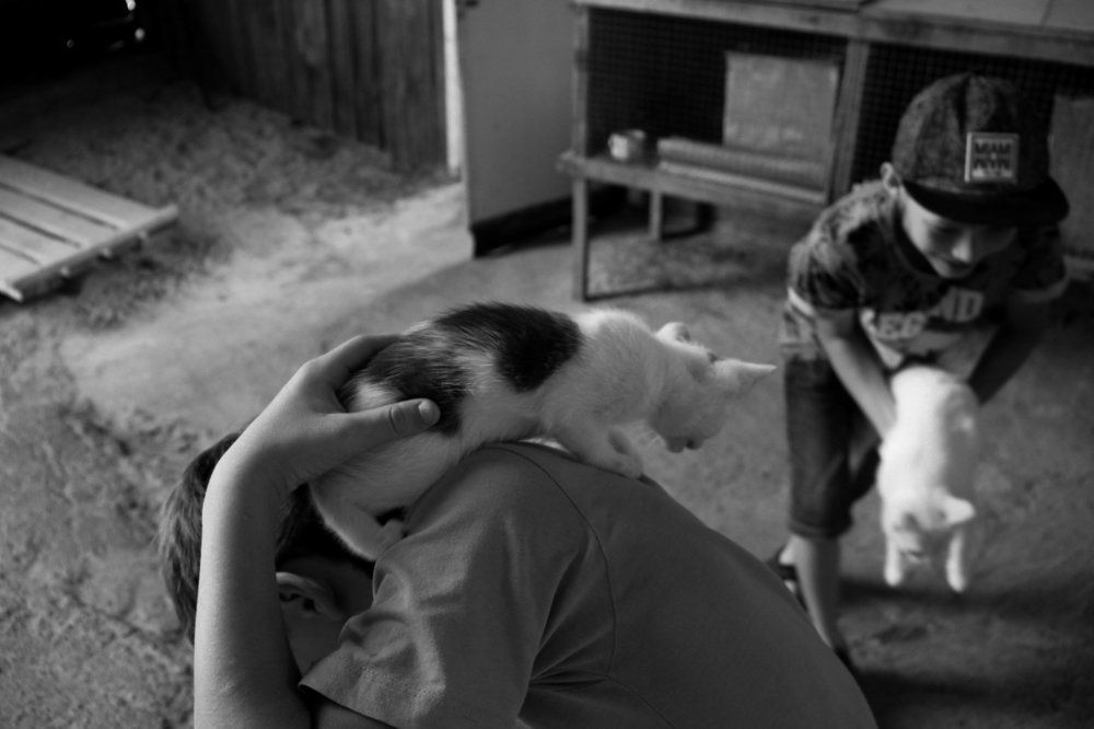 Photograph by Алика Стич