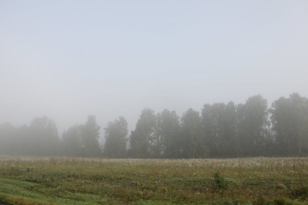 Photograph by Алика Стич