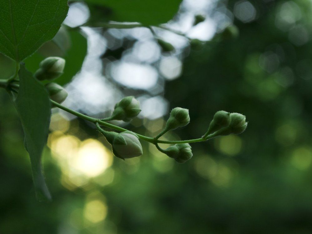 Photograph by Юлия Красильникова