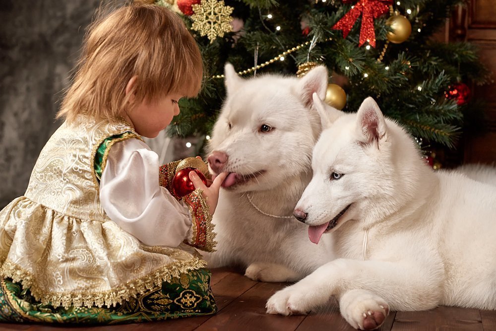 Настя и хасята